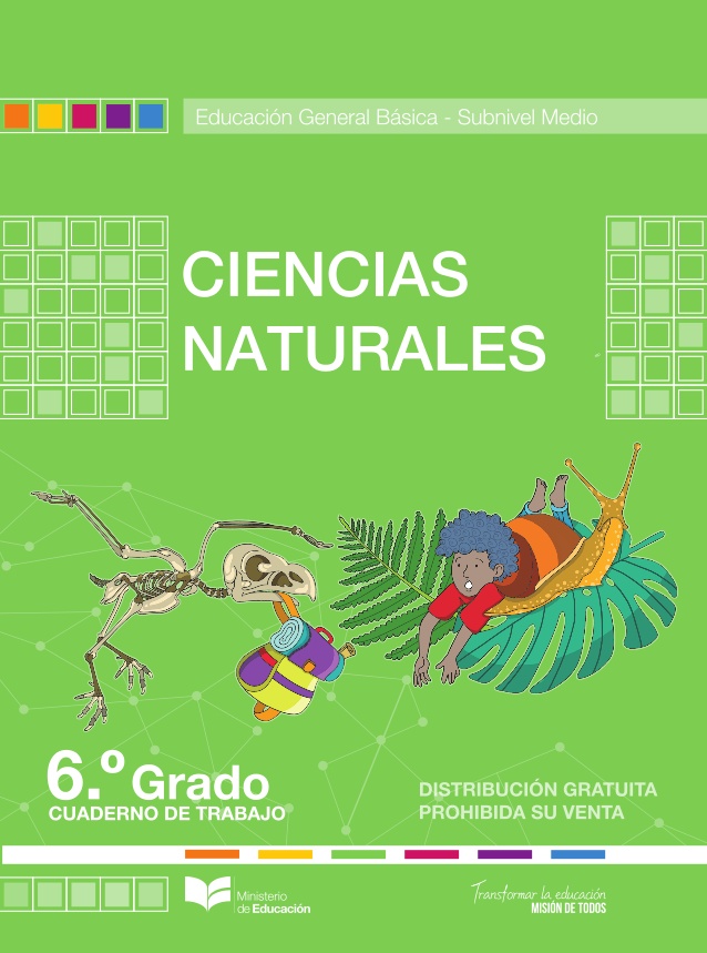 Libro de ciencias naturales de sexto grado de EGB resuelto (2023) – Descargar en PDF